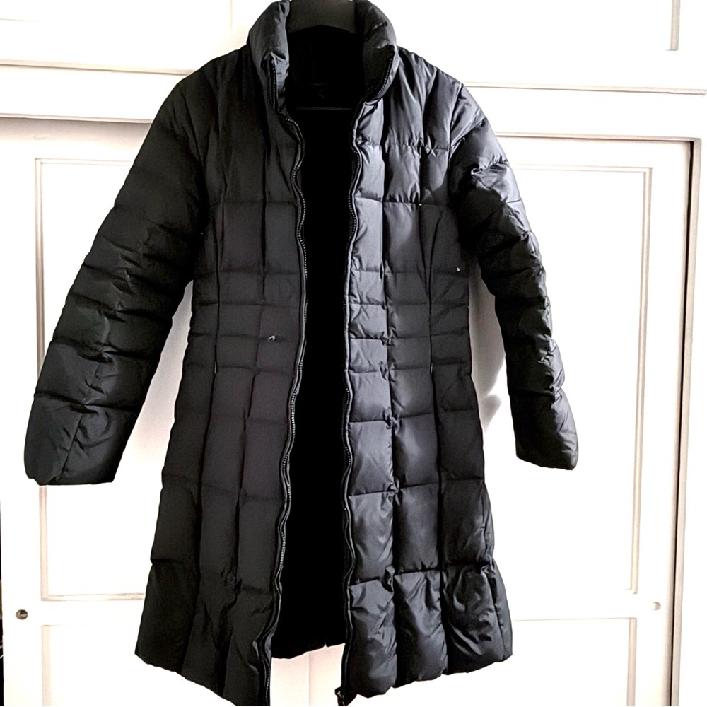 Express Black Puffer Coat
